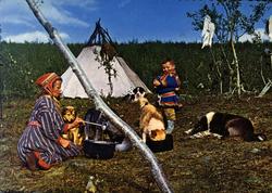 Postkort, Norsk Folkemuseum. Samekone og samegutt 
mater hu