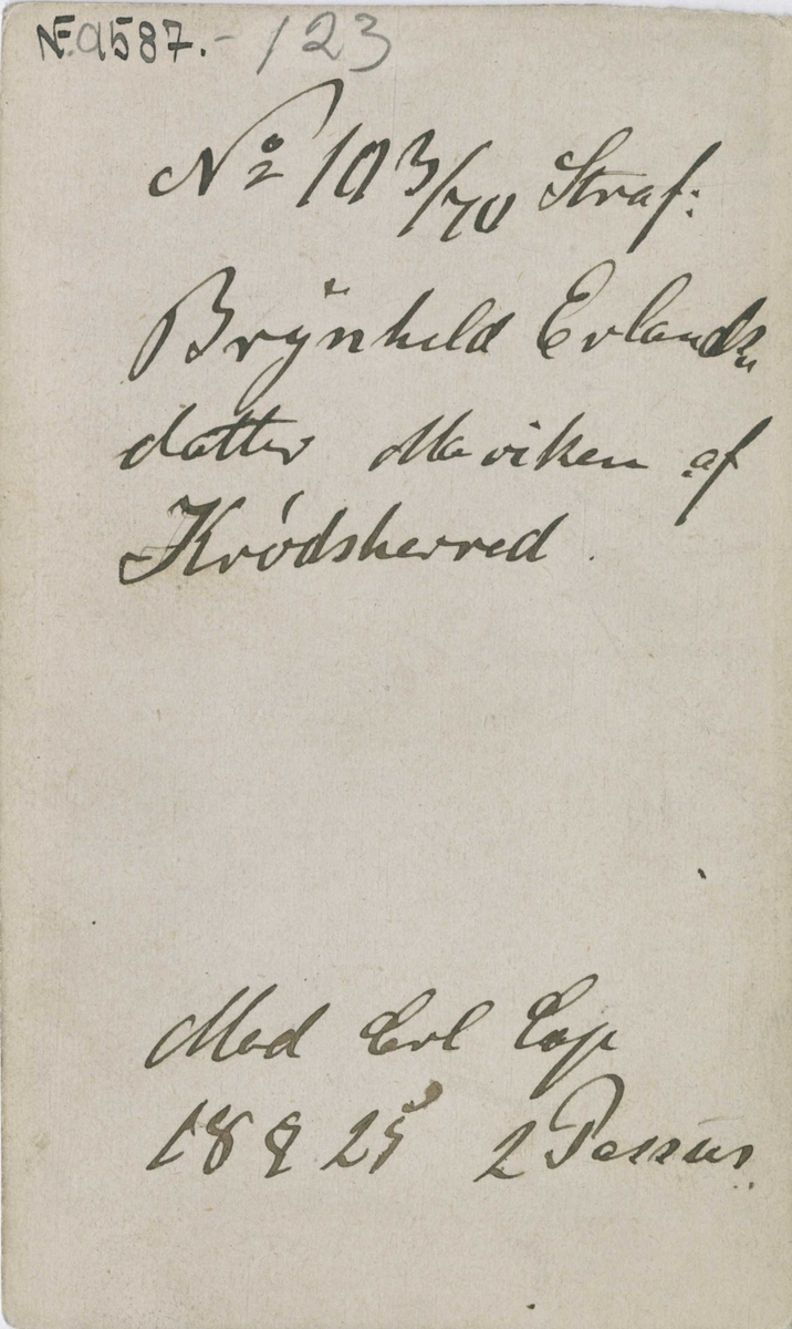 Fangeportrett. Brynhild Erlandsdatter Maviken, Krødsherad, arrestert i Drammen i 1870, innsatt i distriktsfengslet i Hokksund for å ha 3 barn utenfor ekteskap.