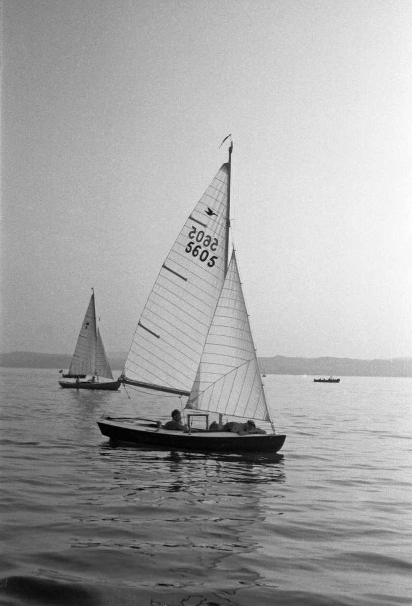 Seilbåter i regatta. 'Cito' i høstregatta 1947