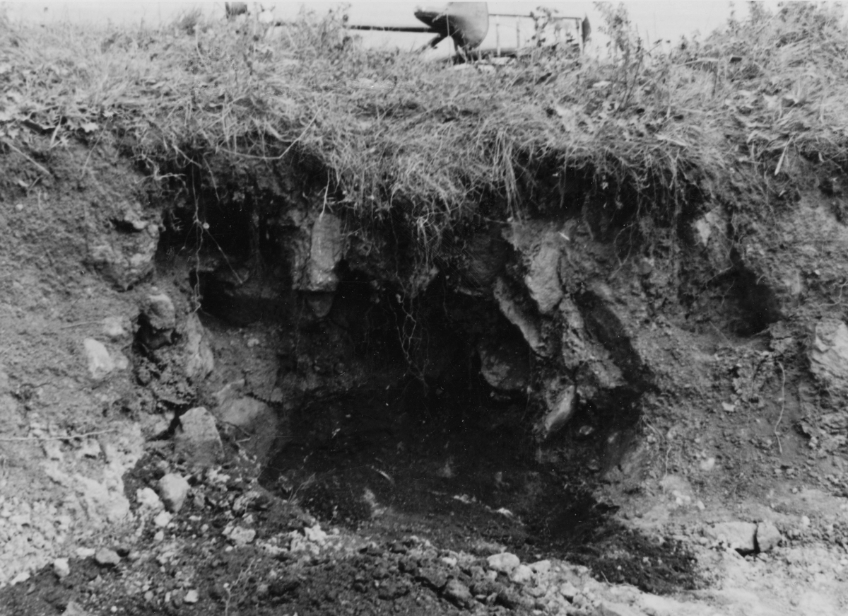 Järnåldersgravfynd. G.M. 11482
"Tomtvreten"
Skelettgraven före utgrävning.