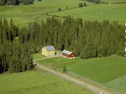 Sandmo.Gulmalt stue, lite uthus. Bær-og grønnsakhage. Åkrer.