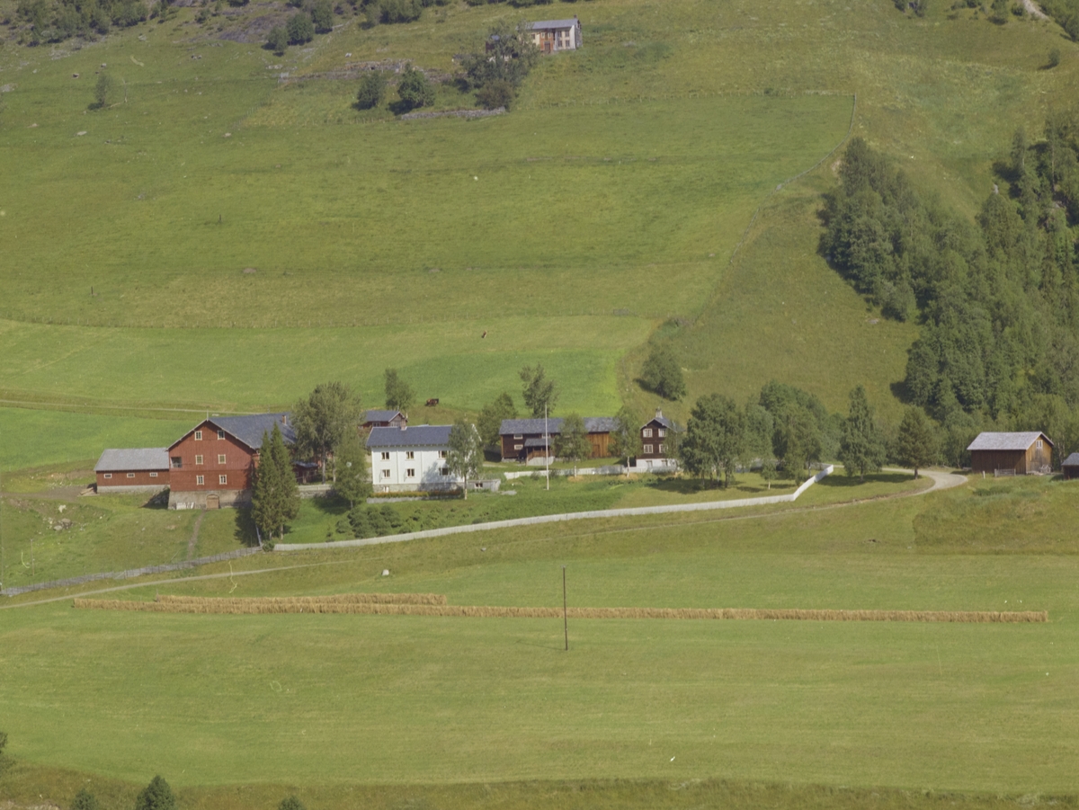 Sønstegård, gårdsbruk, Øvre Svatsum, Vestre Gausdal