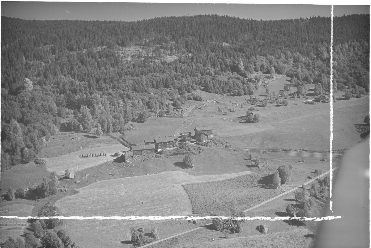 Bjørge gård, Hunder, 12.09.1952, kulturlandskap, løvskog, granskog
