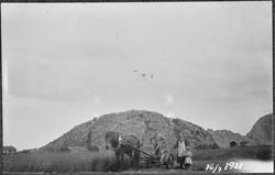 Maskinslått med hest i Hemne