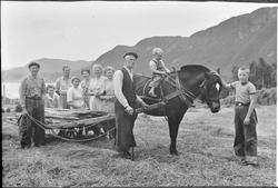 Slåttonnfolk i Holstgarden. En liten gutt sitter på hesten.