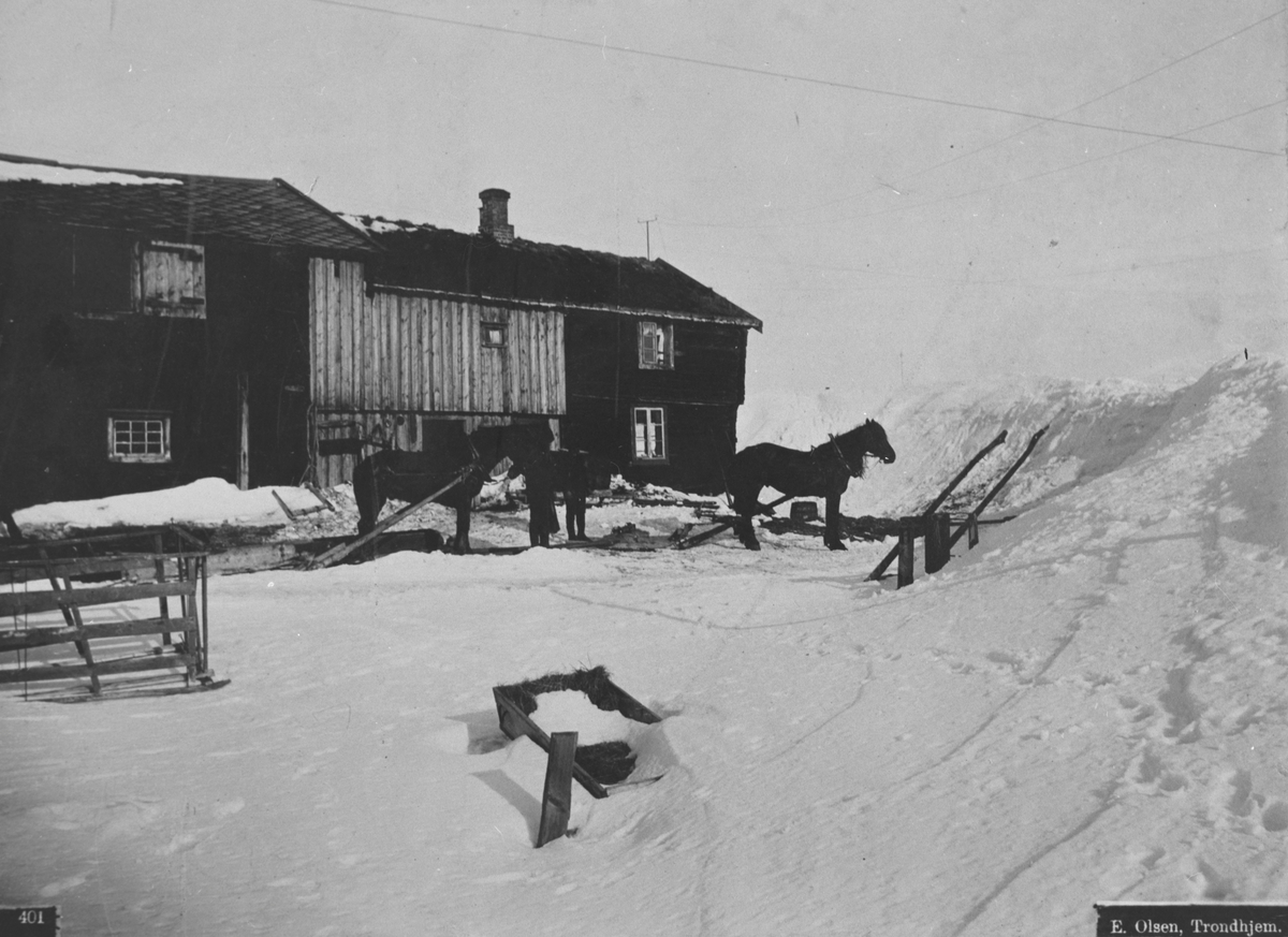 Snøvinter på Røros. Gruvebebyggelse på Kongens gruve, Røros. Hester og mannskap foran Kjørarstuggu, mannskapsbrakke og stall