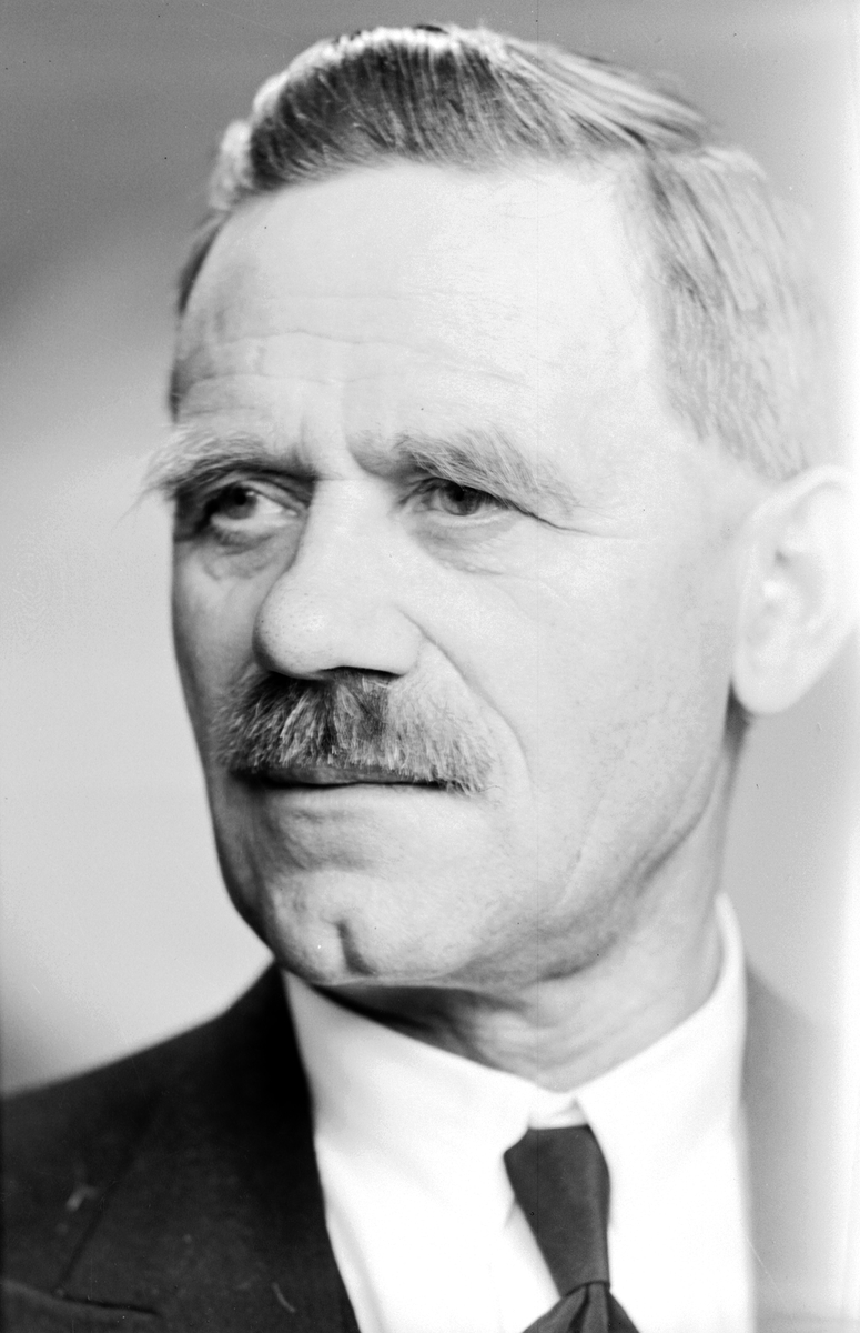 Herr P. A. Dahlberg.