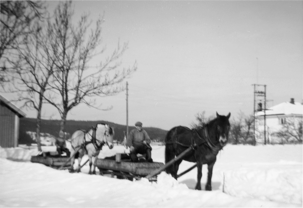 Møkkkjøring med hest og slede i 1957-58. Søgarn Gauterud. Hans foran og Jon K. Ødegaard bak.