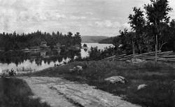 Hagasundet, med Sundstua i Rømskog. Fergemannsbolig ca. 1892