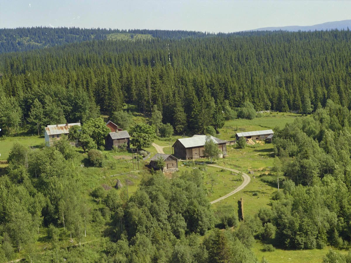 Saksumdal, Åsen eller Aasen. Flere gamle bygninger og privat sagbruk, skog.