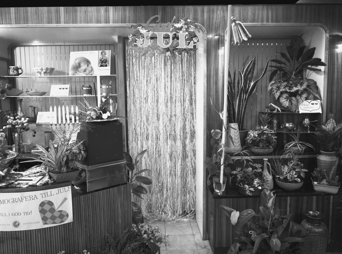Interiör från Friséns blommor på Drottninggatan i Huskvarna