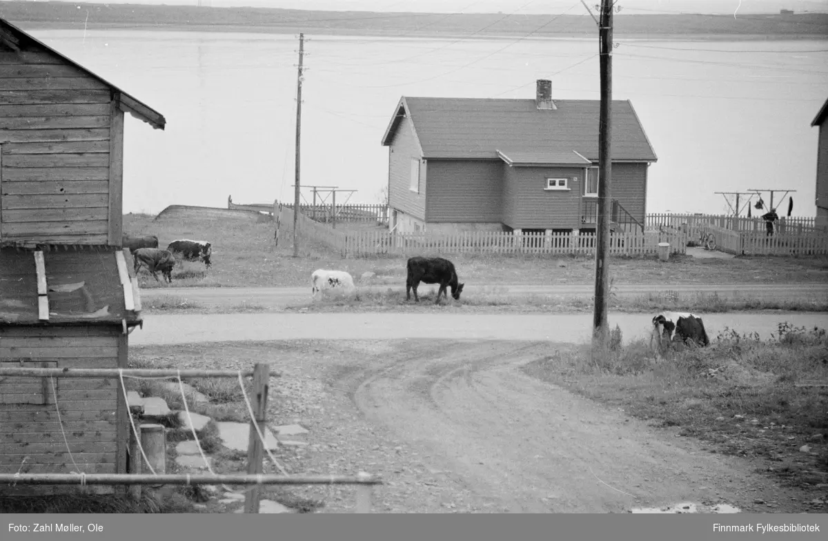 Vadsø-bilder fotografert av Ole Zahl Mölö. Vadsø 1968. Serie bilder med Statsbygg, Vadsø kirke, Frelsesarmeens hus, Gamle hus (1967) og andre hus (januar 1970).