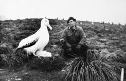 Foto fra Grytviken i Sør-Georgia, og fra en norsk hvalstasjo