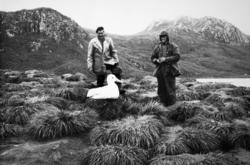 Foto fra Grytviken i Sør-Georgia, og fra en norsk hvalstasjo