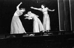 Fra byjubileet i 1936 sommerutstilling og revy.