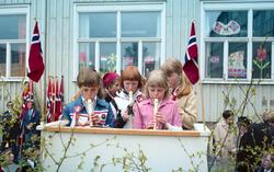 17.maifeiring Strømmen