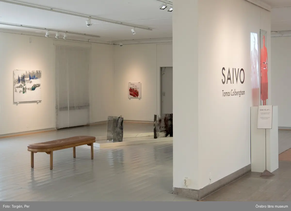Dokumentation av konstnären Tomas Colbengtsons utställning "SAIVO" på länsmuseet 1 april - 28 maj 2017