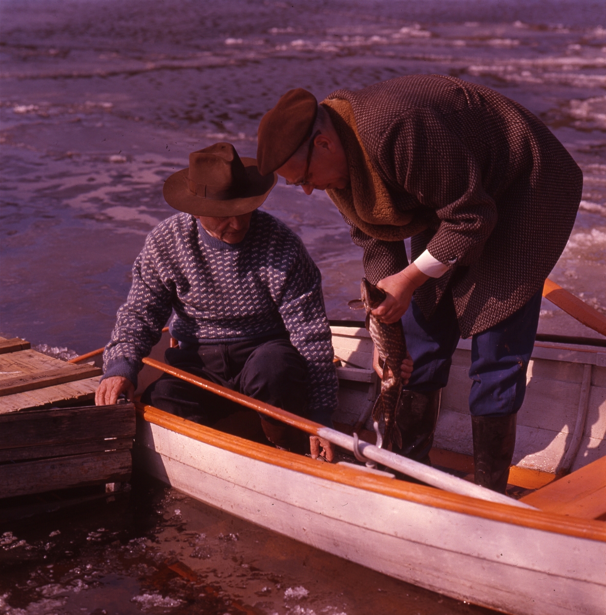 Författaren Albert Viksten (i hatt) och en annan man i en eka. Den andre mannen håller i en fisk. Issörja flyter på vattnet.