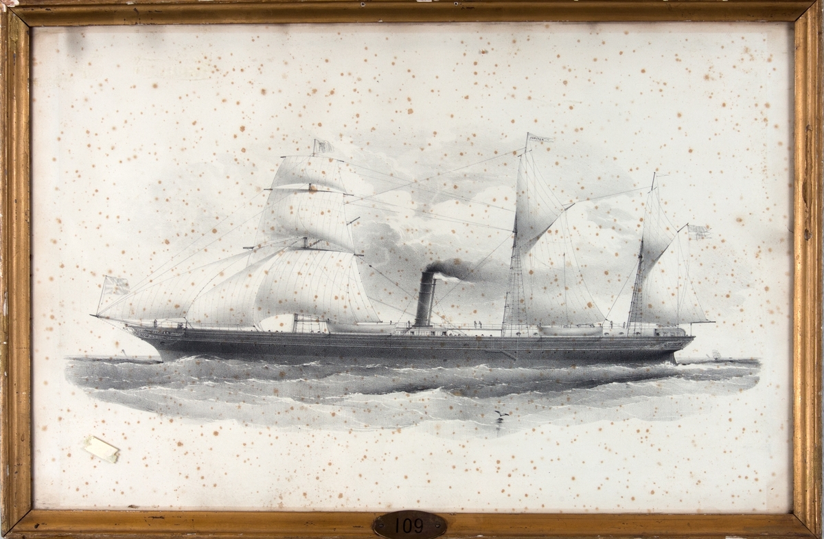 Skipsportrett av DS JUPITER under fart med seilføring. Skipet har seil på alle 3 master, skonnerrigget.I flagget på fortoppen sees det bergenske våpen og unionsflagg akter.