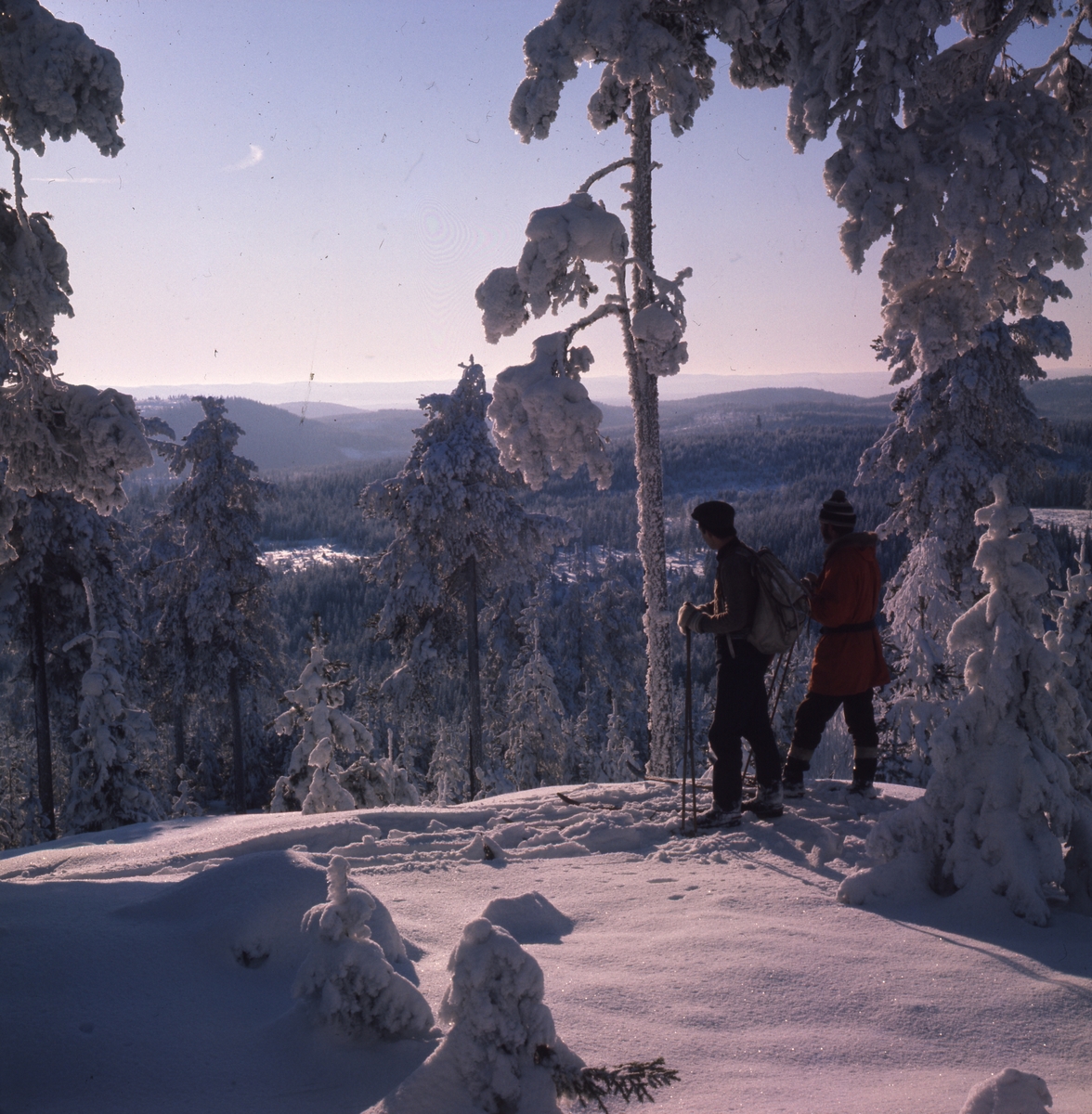 I högvinterskog, Rengsjö. Ett par skidåkare står omgivna av snötyngd skog uppe på en höjd, med vacker utsikt över vinterlandskapet.
