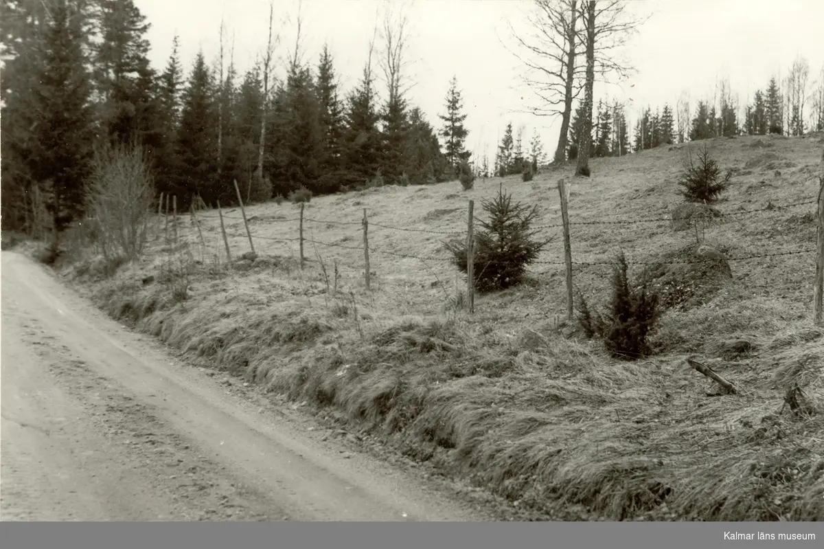 Rumskulla socken
Rumskulla 2A

Längst till höger överst i sluttningen en rund stensättning. Foto från söder.

Foto Gösta Niklason, Mariannelund 1961