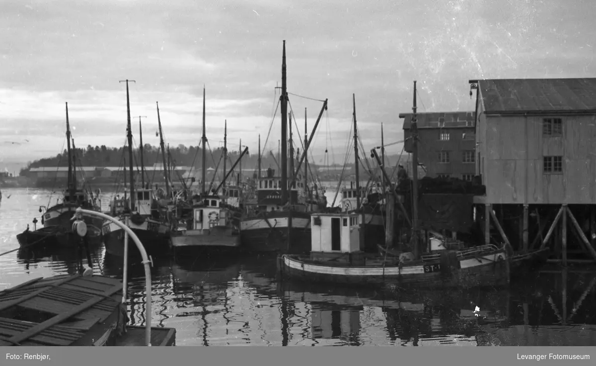 Sildefiskere i Levanger havn.
