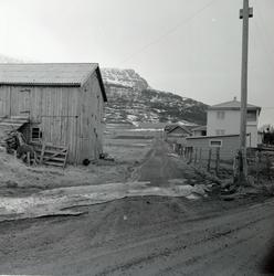 Gårdsbygninger ved snuplassen på Sørrollnes, fjell i bakgrun