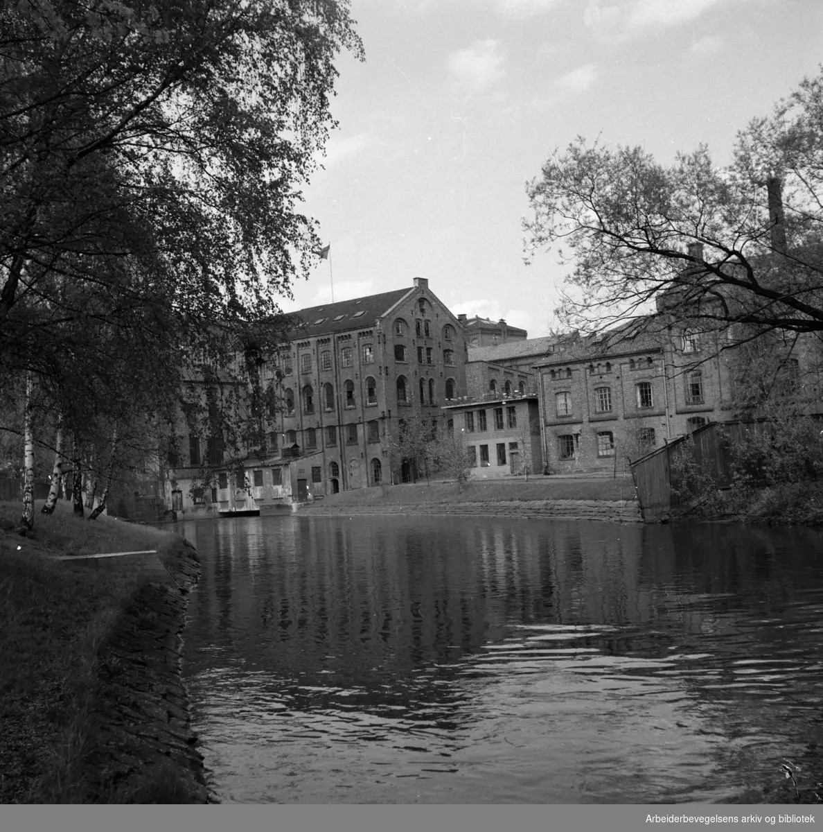 Akerselva. Grünerhagen. Mai 1952