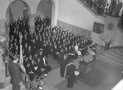 Immatrikulering i Aulaen, Hovedbygningen ved NTH