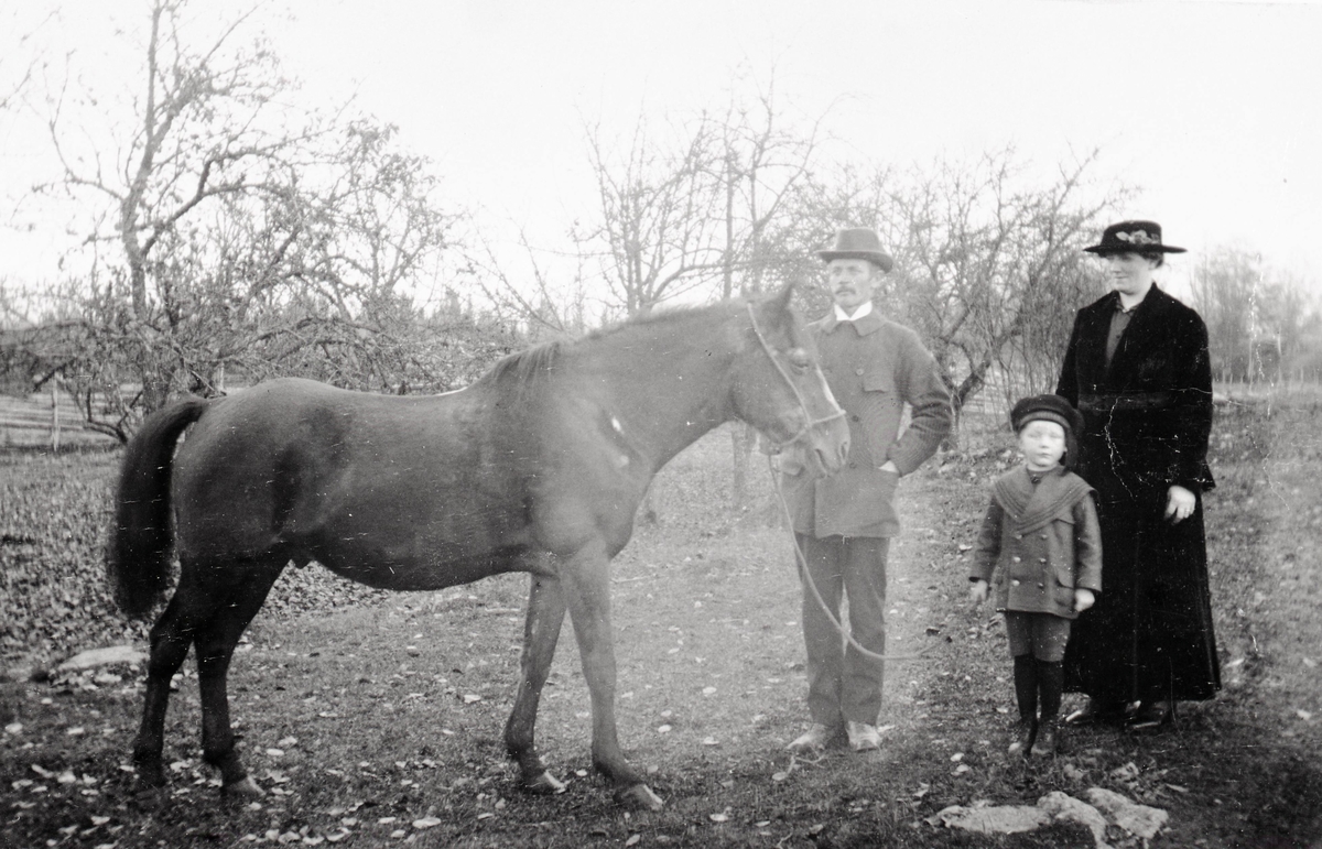 Lantbrukaren Emrik Erlandsson i Uddaryd och hans hustru Arvida Erlandsson (år 1929 handelsidskerska i Fagerhult) och sonen Holger Erlandsson samt 32-åriga Ölandshästen "Pelle".