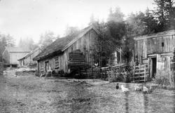 Tunet på Bergenhus kapellangård i Rakkestad (prestegård) ca.