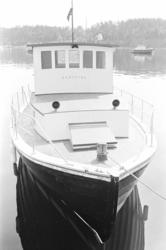 Arve Opsahl, Illustrert