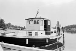 Arve Opsahl, Illustrert