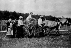 Høyonn, hest, vogn, personer, rive.