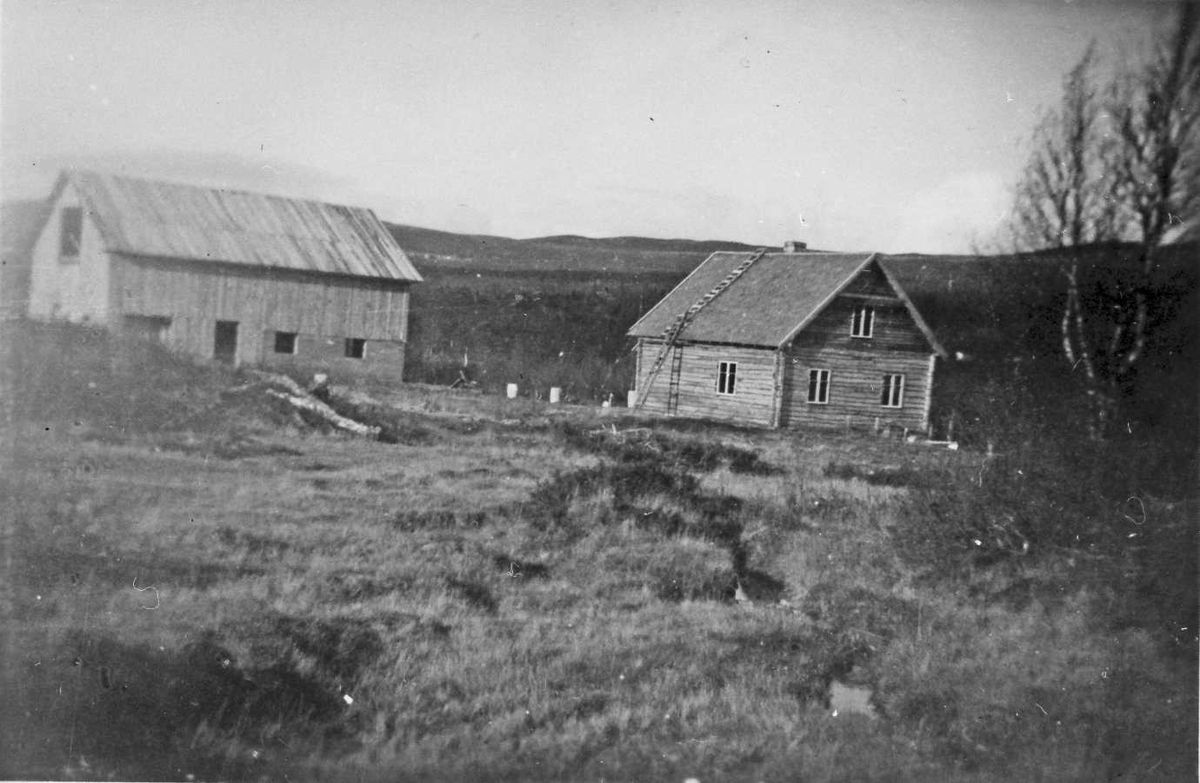 Gårdsbruk. Solbråten fotografert sommeren 1942. 