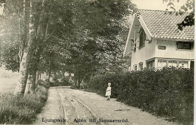Enligt Bengt Lundins noteringar: "Ljungskile. Allén till Simmersröd. Villan Bäckaskog".