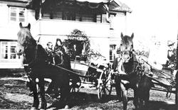 Bryllup, Hester med brudeparet, Bryllupet til Maria A. Strei