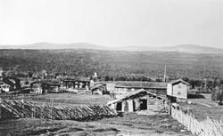 Gårdsbruk, skigard.