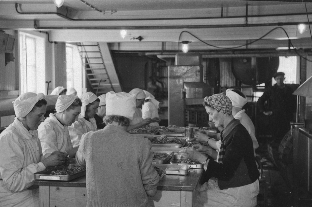 Fra produksjonen ved Levendefisk.