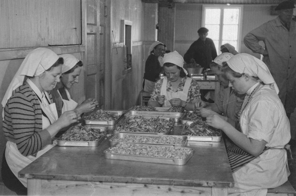 Fra produksjonen ved Levendefisk.