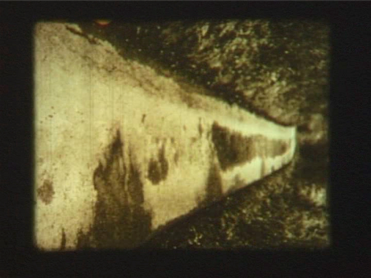 Down the Lane and Back Again [Film]