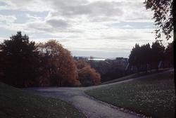 Høst i Stensparken.