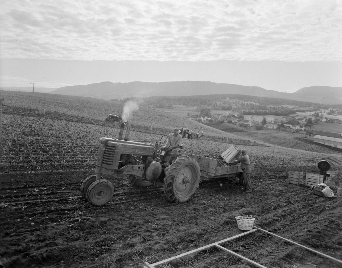 Norsk landbruks jubileumsutstilling 1959. Mann på traktor, pløying og potetopptaking.