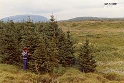 Maren Kværness fra Ytre Rendal i Hedmark, fotografert på eie