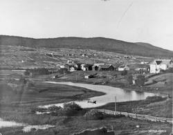 Stasjonstjønna, Bjørnsmoen, Tynsetbygda (med hesjer. )