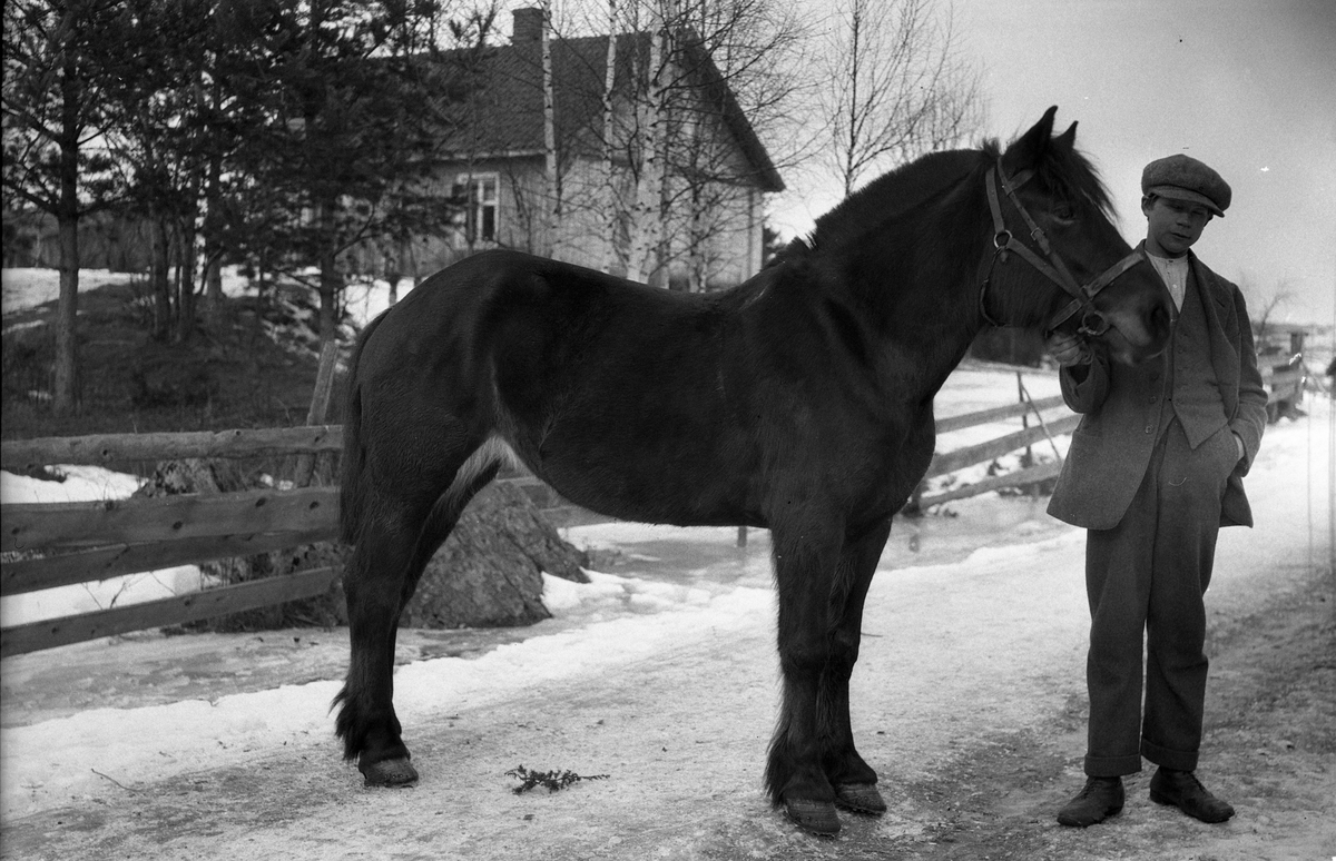 Ung gutt med hest i nærheten av Krabysanda. Navn: Alf Konrad Moen.  Huset i bakgrunnen tilhører bruket Moen.