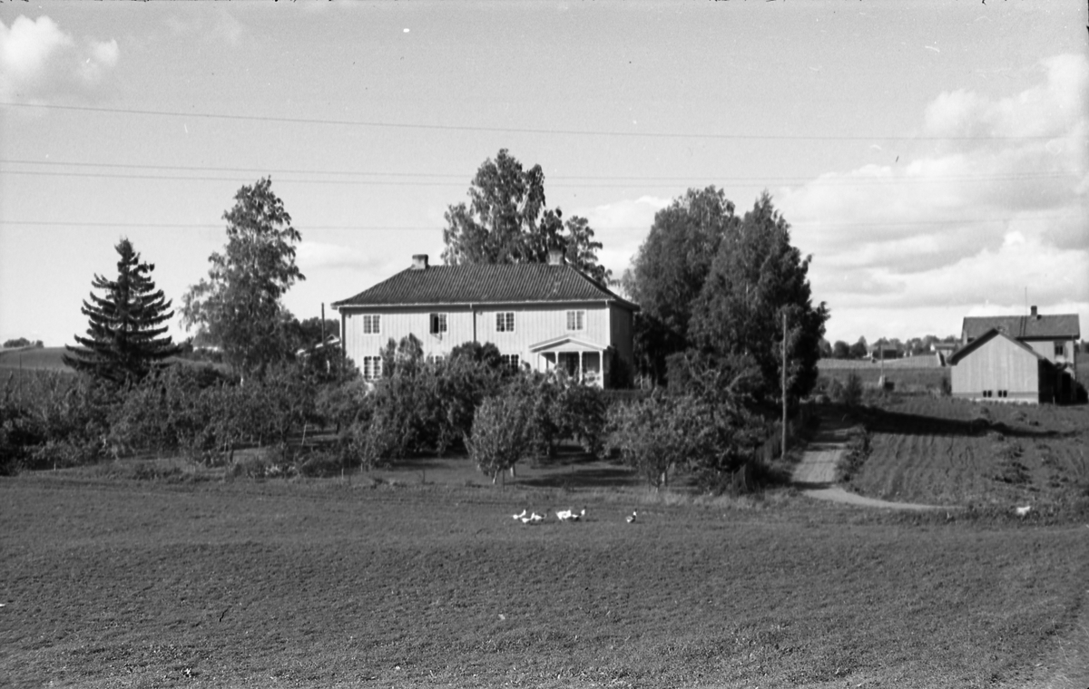 Den vestre bygningen på Oppland Småbruks og Hagebruksskole på Lena. Bygningen var lærerbolig, og het Skogen. I høyre bildekant, Greanheim.