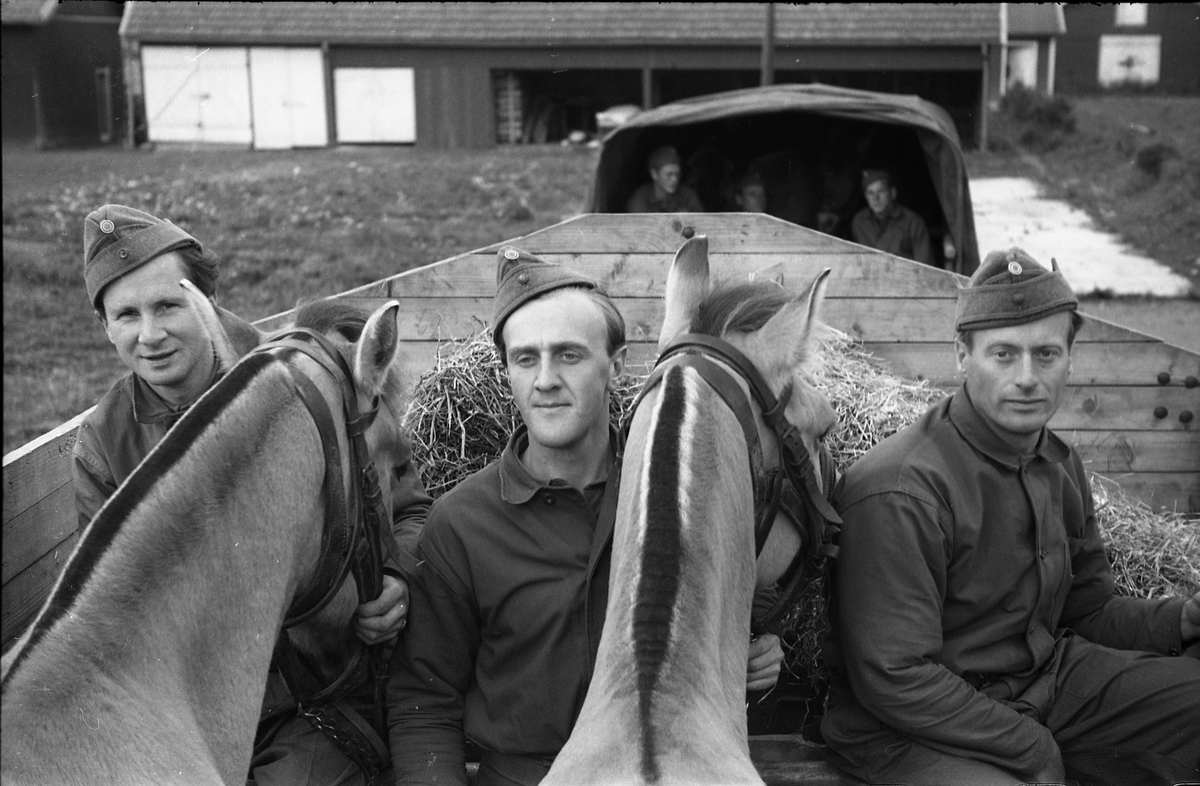 Opplasting av hester på lastebil ved Hærens Hesteskole på Starum september 1948. Serie på 24 bilder. Lengst til venstre på bilde nr. 1 står daværende sersjant Ottar Markeng.
Bildene nr. 1-4 og 17-24 eer trolig fra Hoffsvangen, de øvrige fra Starum Leir.