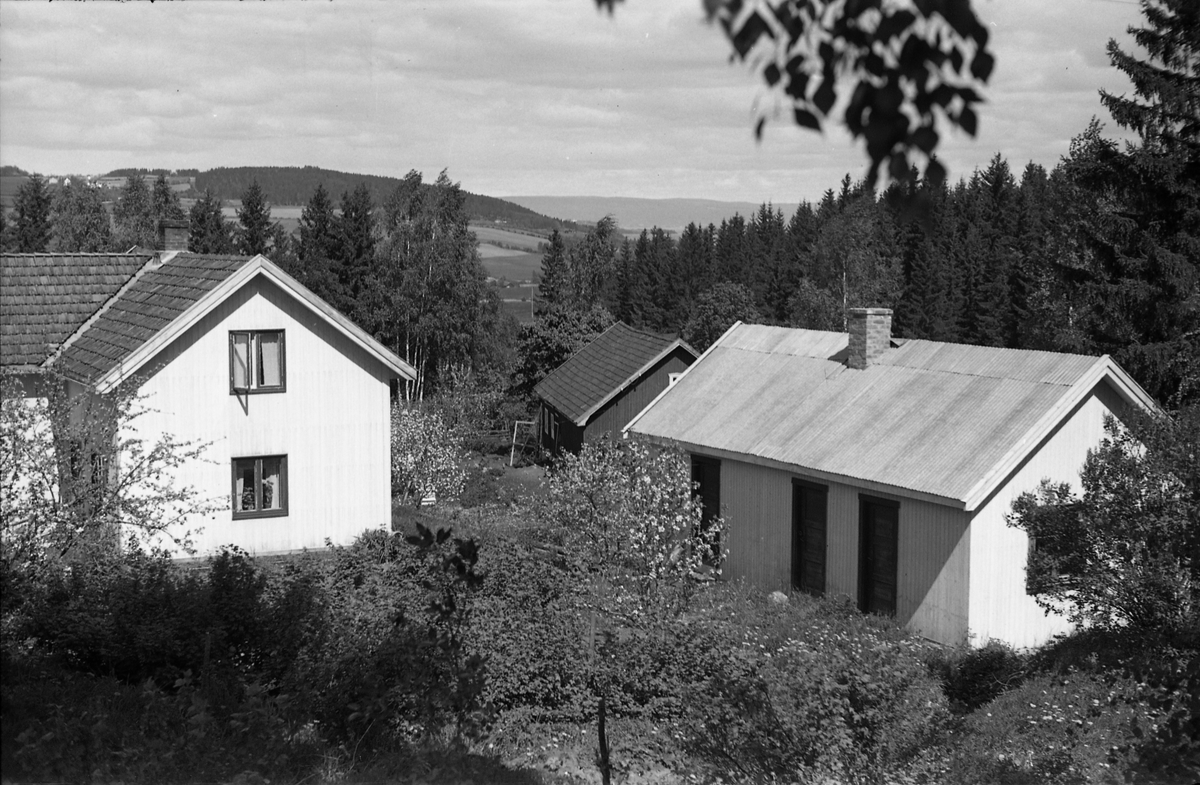 Holje på Skreia (Rossgutua 91) juli 1950. Eiendommen var eid av stasjonsmester Hans Olstad. Åtte bilder.