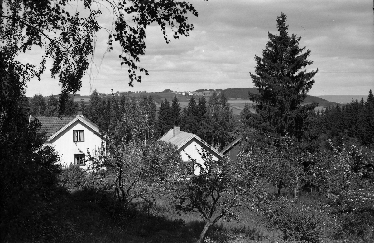 Holje på Skreia (Rossgutua 91) juli 1950. Eiendommen var eid av stasjonsmester Hans Olstad. Åtte bilder.
